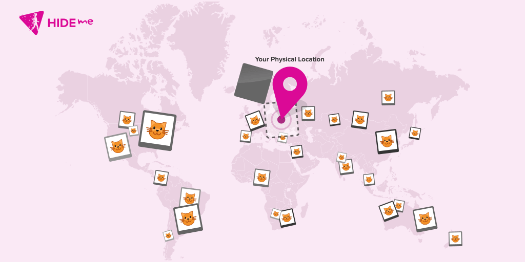Cat Photos Posted Online Reveal Your Physical Location