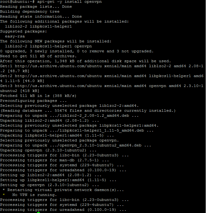This will result in installing the packages required for OpenVPN to function properly