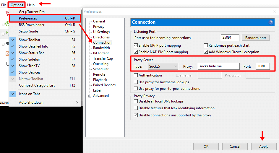 utorrent app connection settings